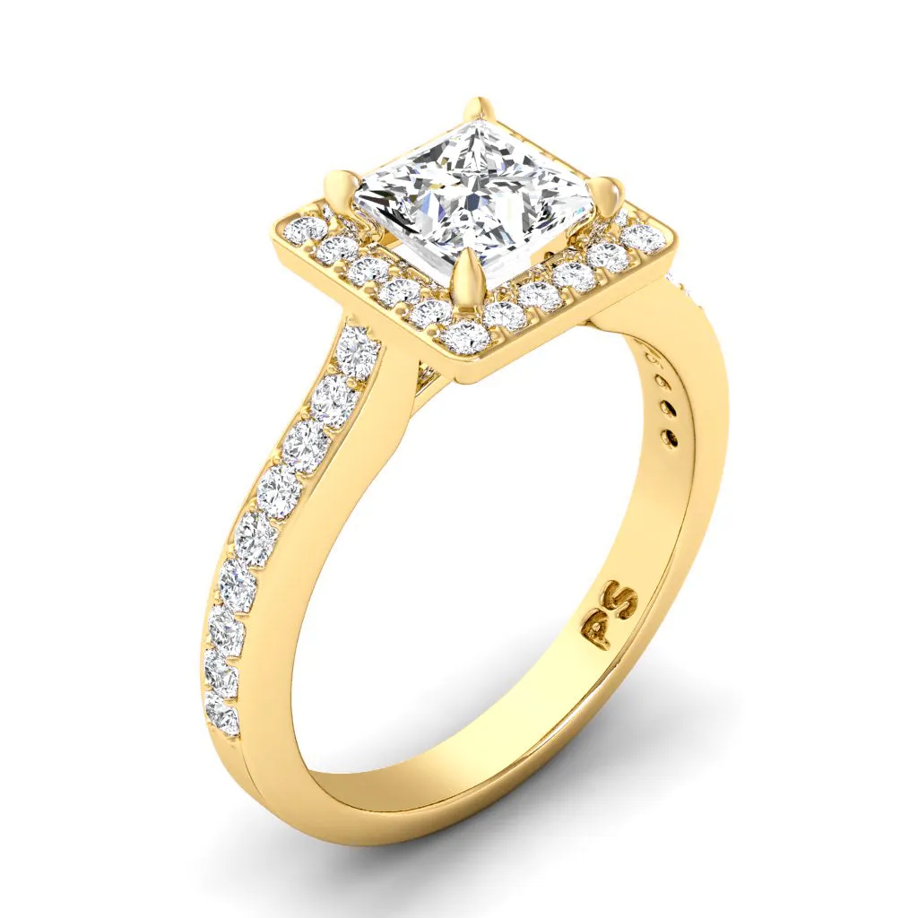 0.75-1.90 CT Round & Princess Cut Diamonds - Engagement Ring