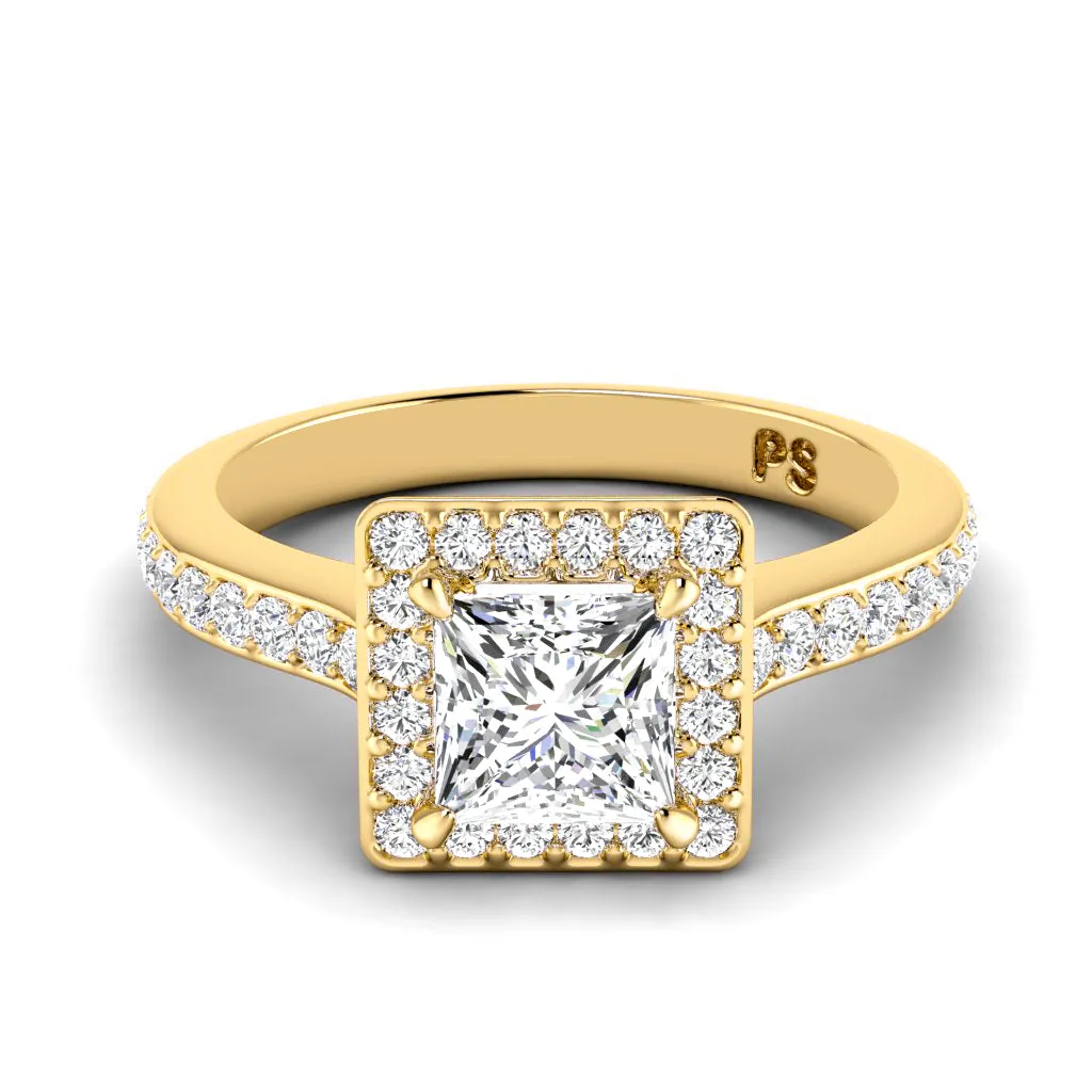 0.75-1.90 CT Round & Princess Cut Diamonds - Engagement Ring
