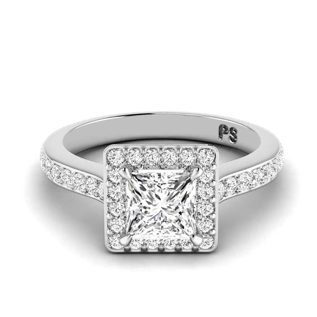 0.75-1.90 CT Round & Princess Cut Diamonds - Engagement Ring