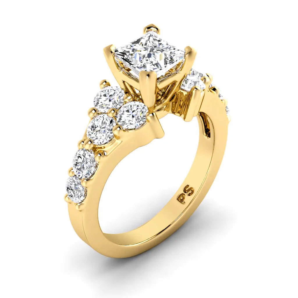 1.75-2.90 CT Round & Princess Cut Diamonds - Engagement Ring