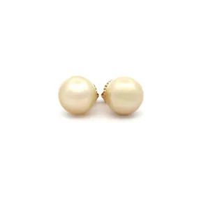 9K Yellow Gold South Sea Cultured 13-14mm Pearl Stud Earrings With 9mm Butterflies