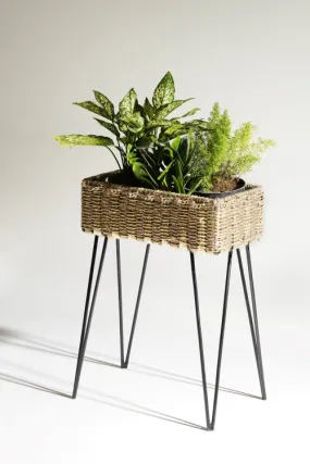 Faye - Contemporary Organizer