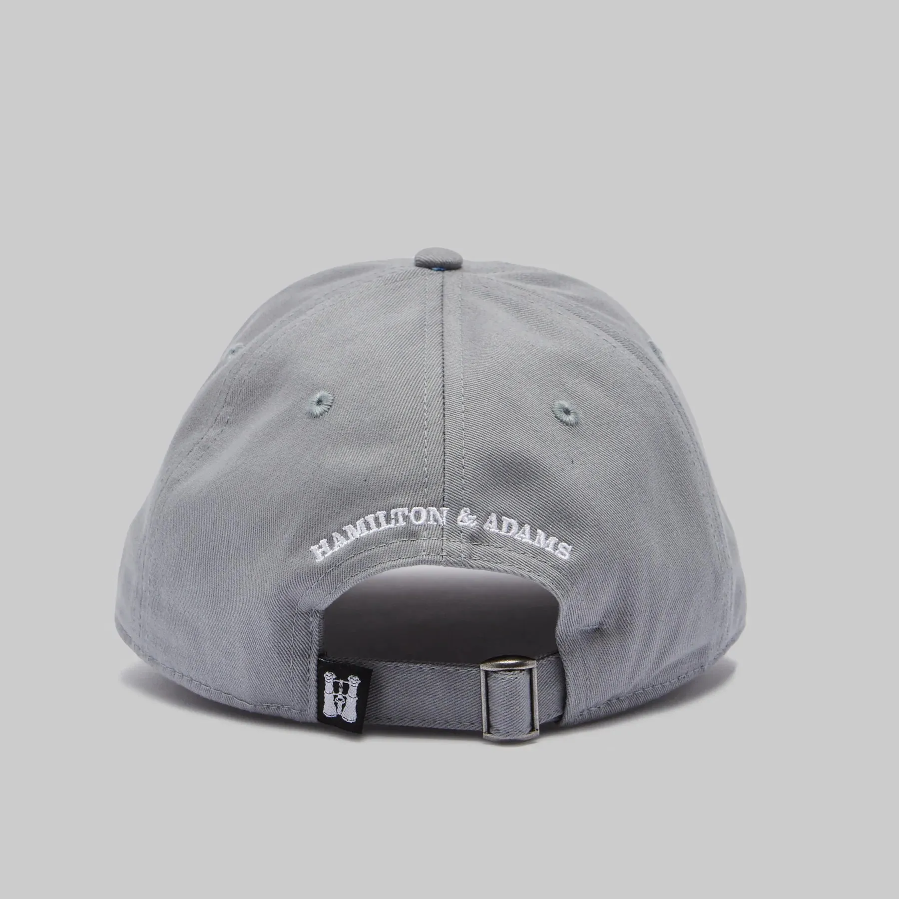 Hamilton and Adams | NY Hat