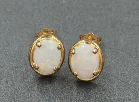Light Opal 14ct Yellow Gold Stud Earrings