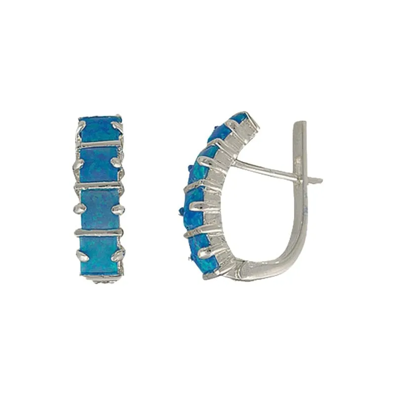 Montana Silversmiths Women's Canyon Colors Turquoise Earrings