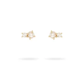 Pearl   Diamond Amigos Posts